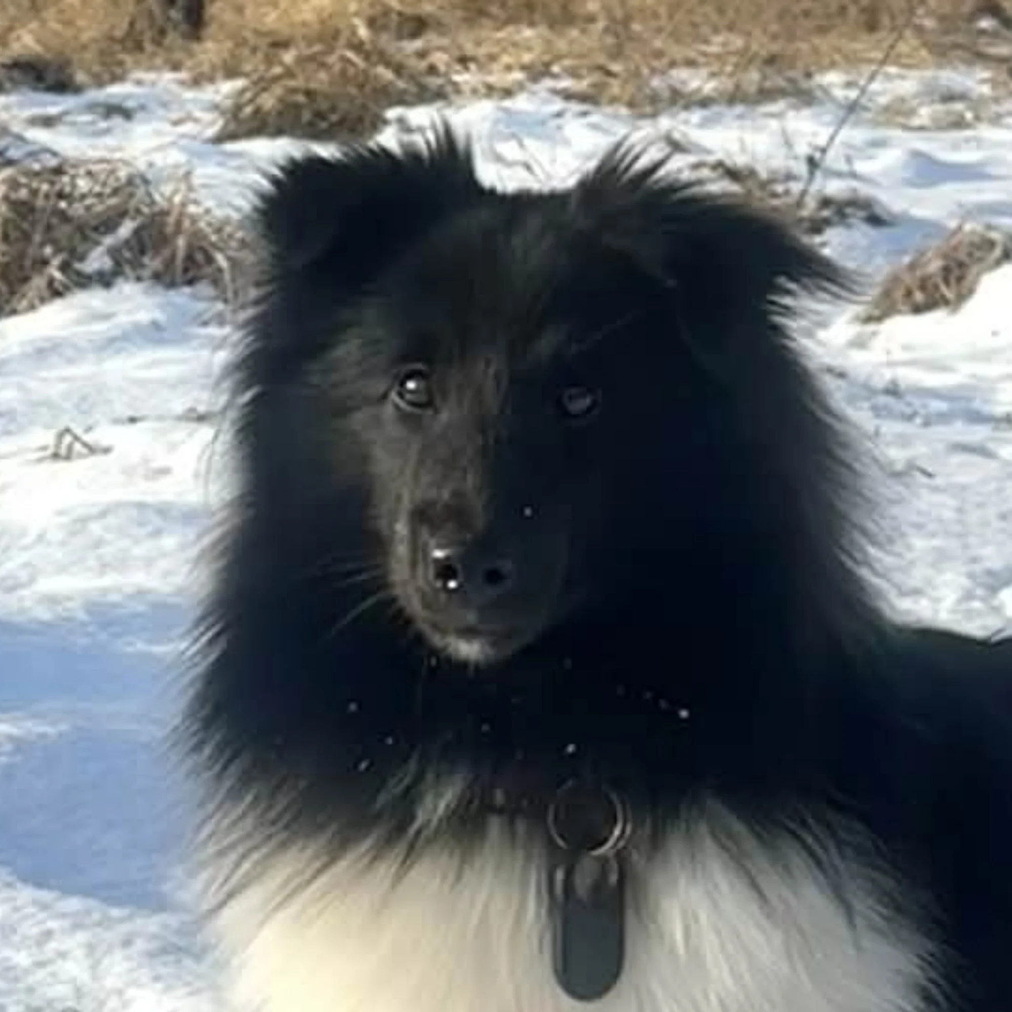 Burza