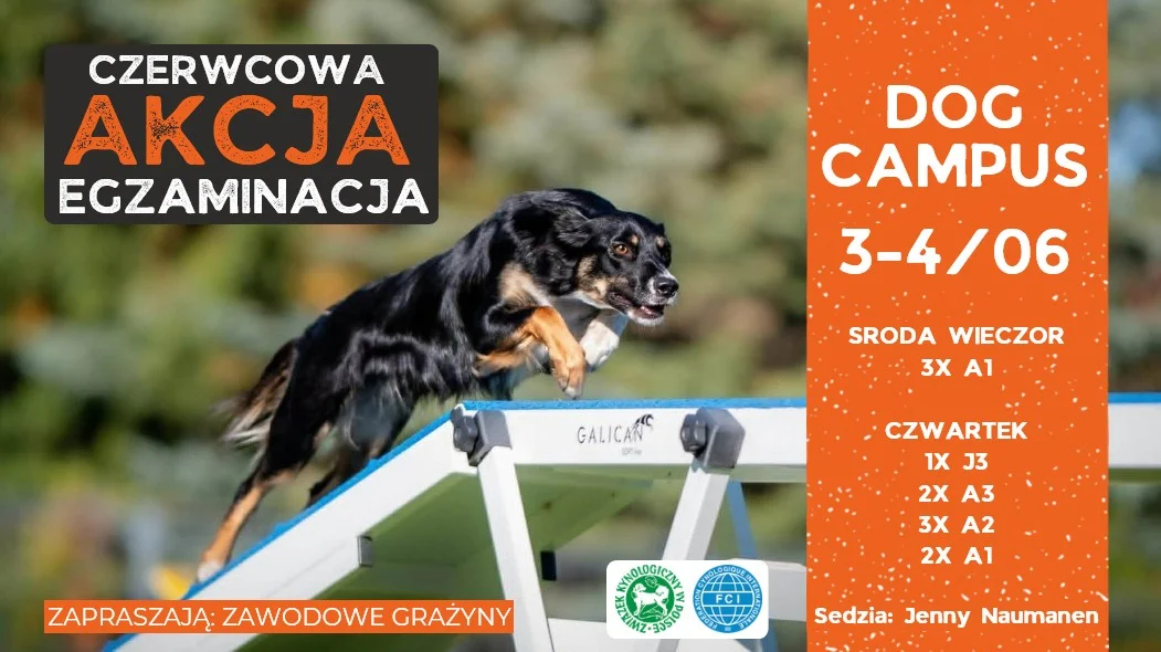 Czerwcowa Akcja Egzaminacja vol. 2 