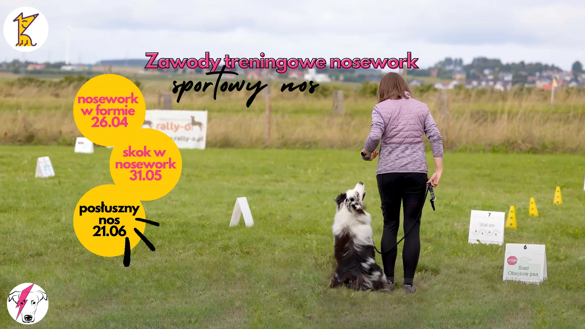 Treningowe zawody - Posłuszny nos