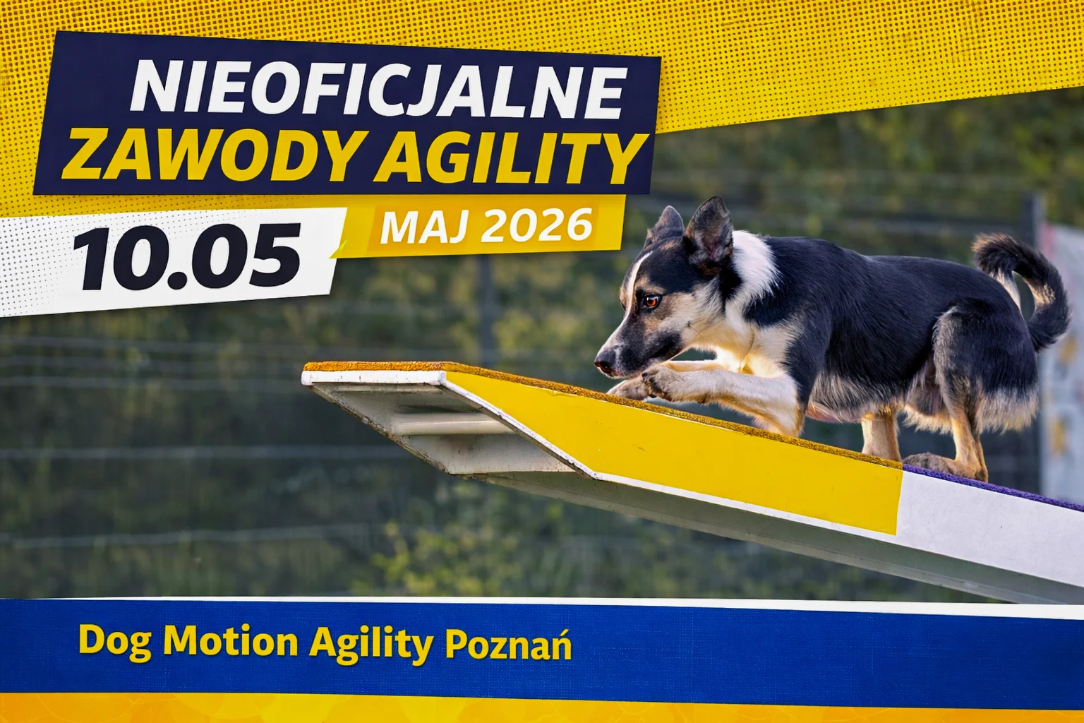 Nieoficjalne zawody agility, maj 2026