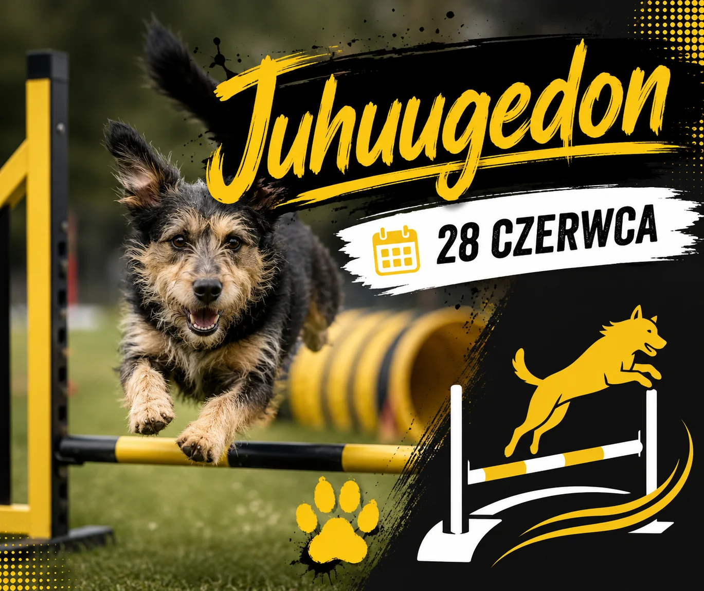 Treningowe Zawody Agility Juhuugedon