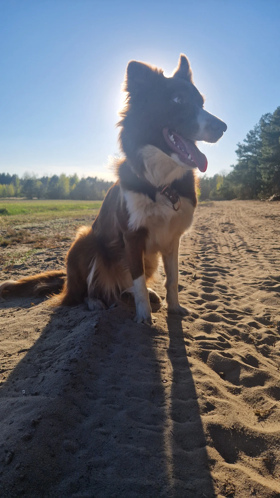 Tili