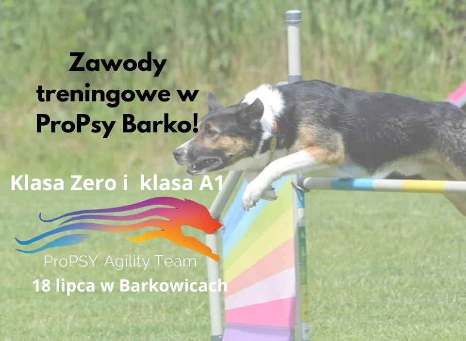 Zawody treningowe w Barkowicach zeróweczki i jedynaczki na start!!!!