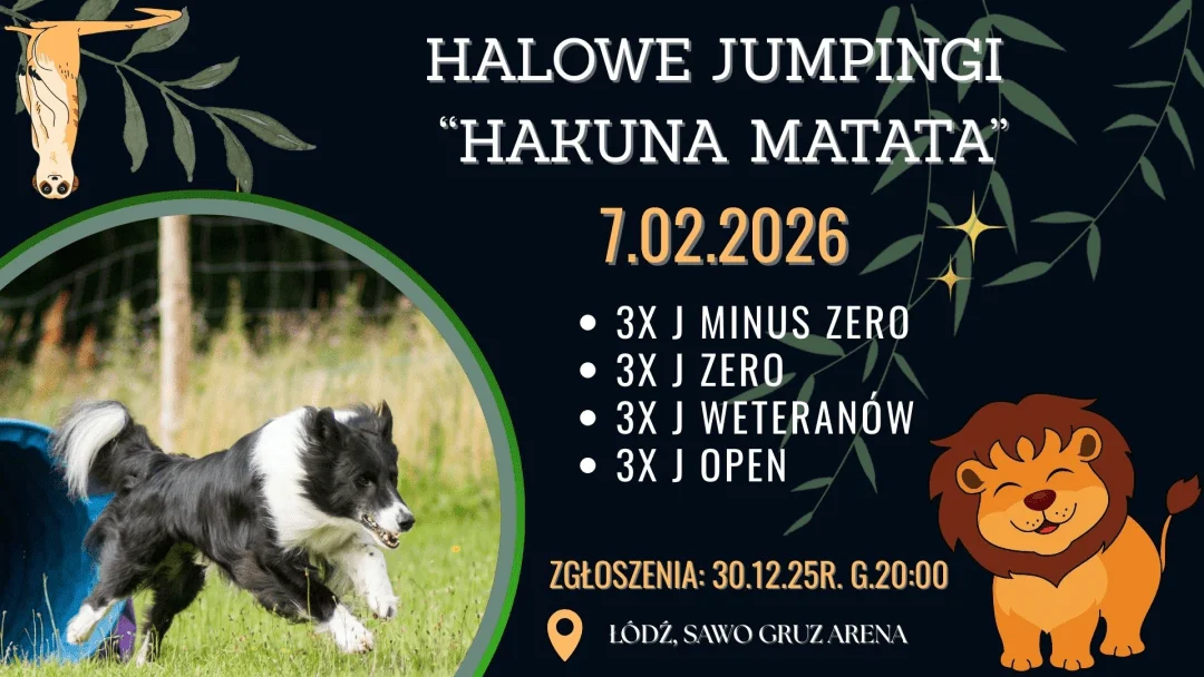 Halowe Jumpingi "HAKUNA MATATA" - Treningowe zawody agility, Łódź