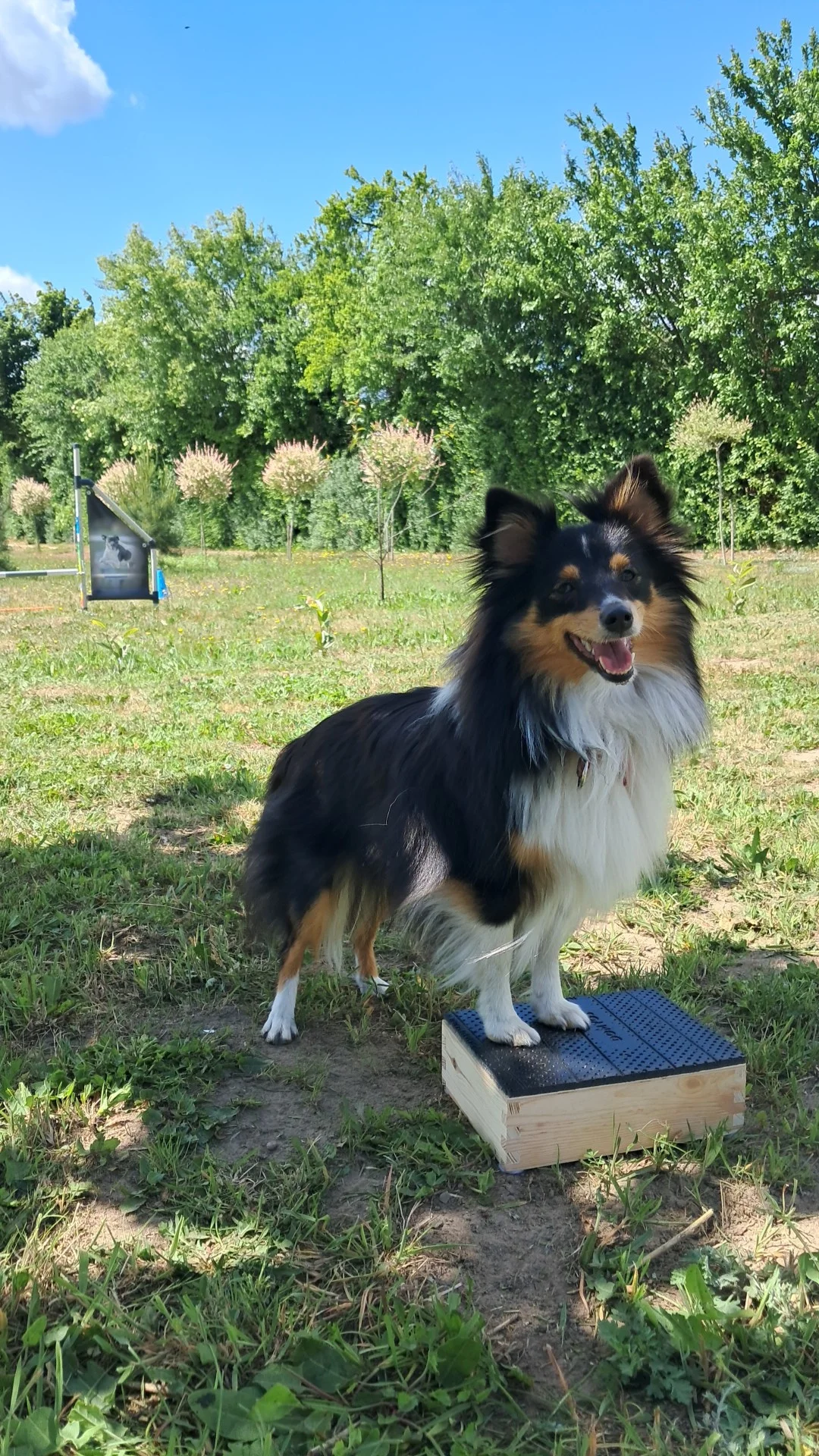 Nala