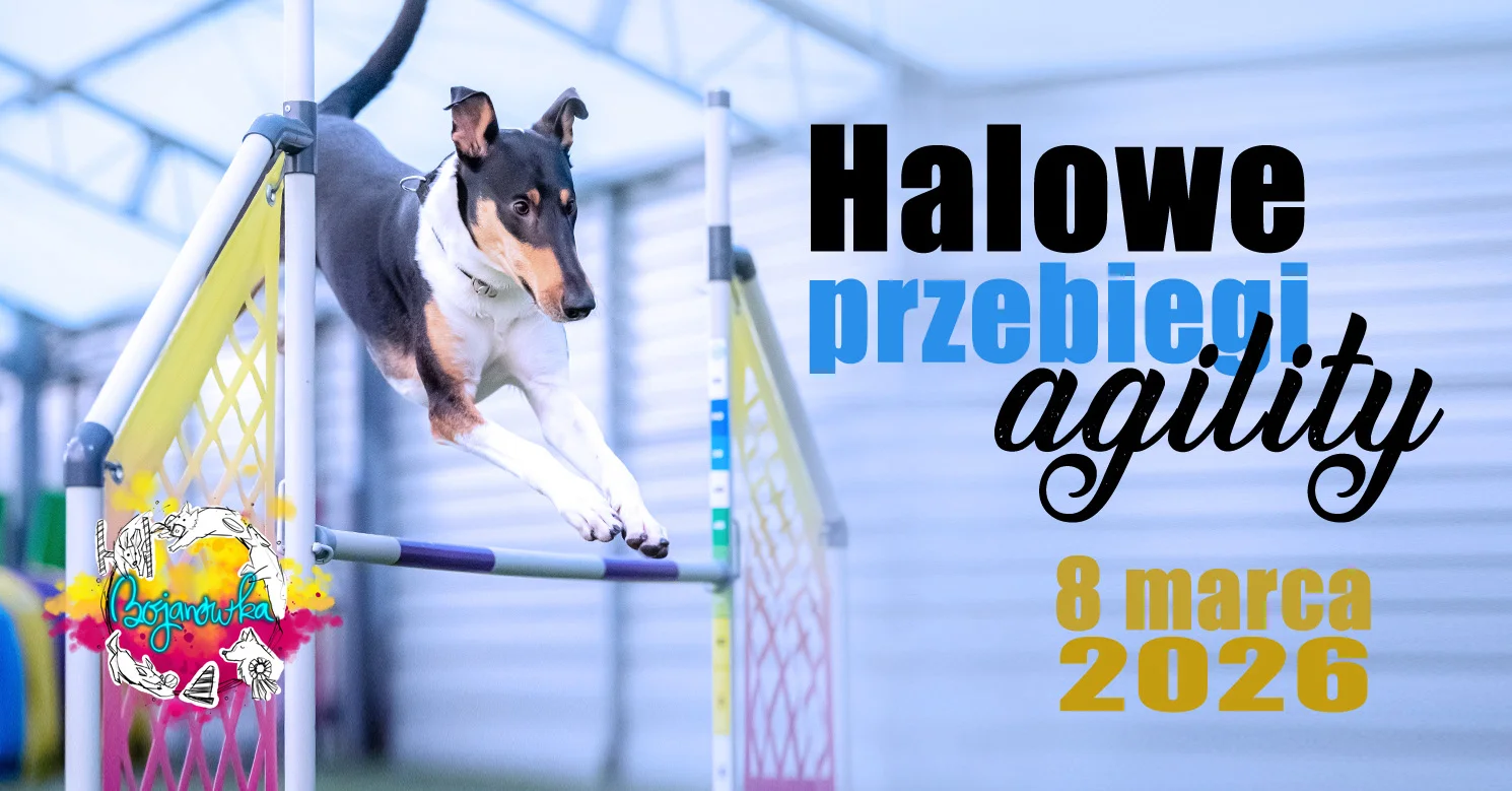 Halowe treningowe przebiegi agility MARZEC 2026