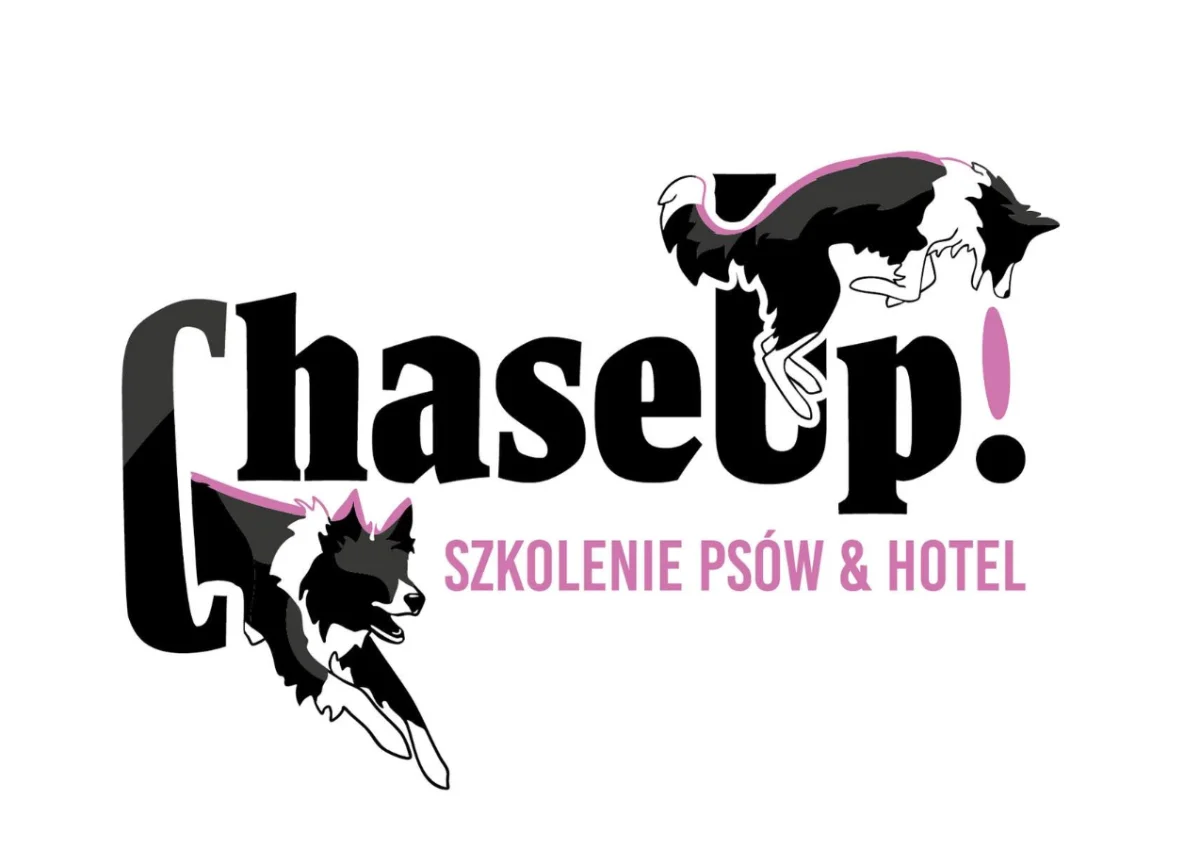 ChaseUp!