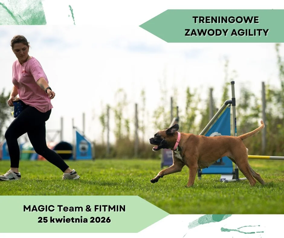 Treningowe zawody agility - 25.04.2026