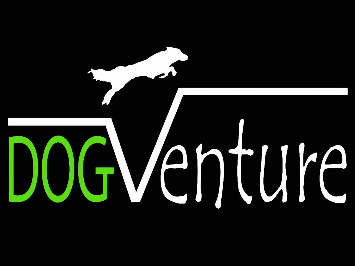 Dog Venture