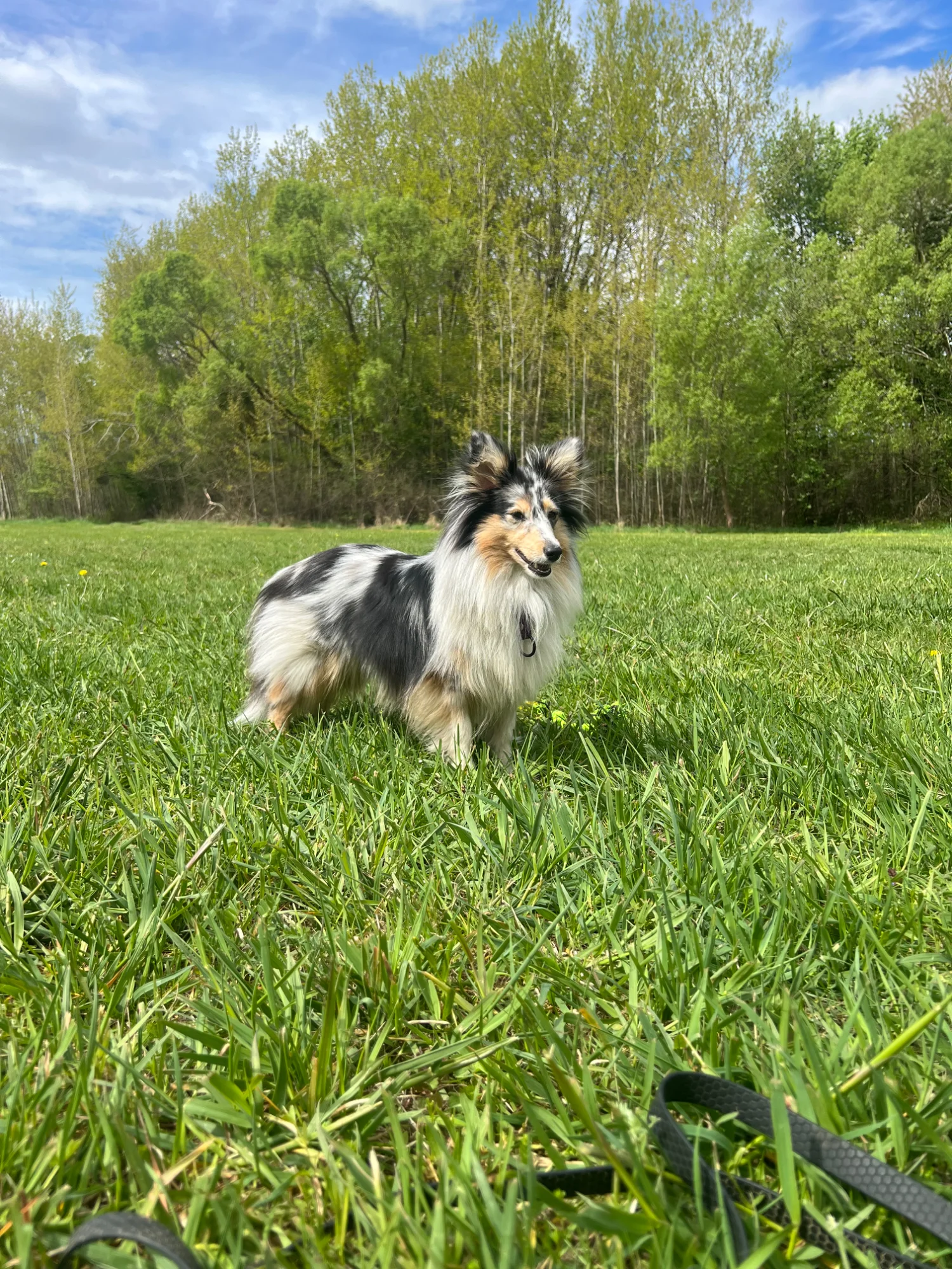 Freya