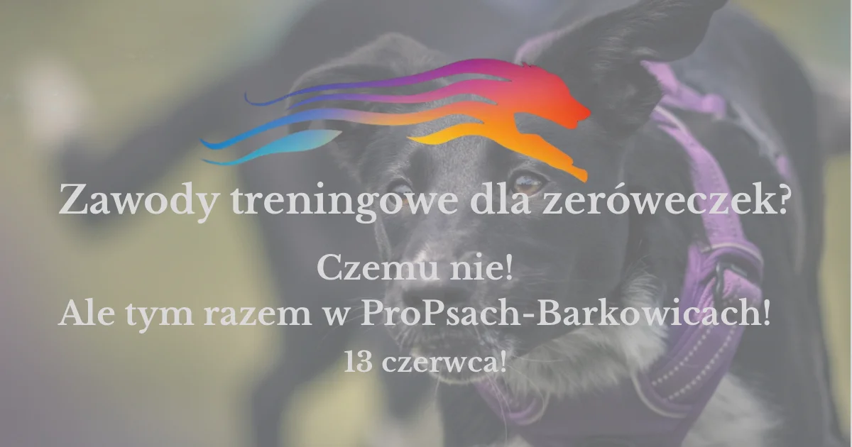 Treningowki dla zer贸weczek