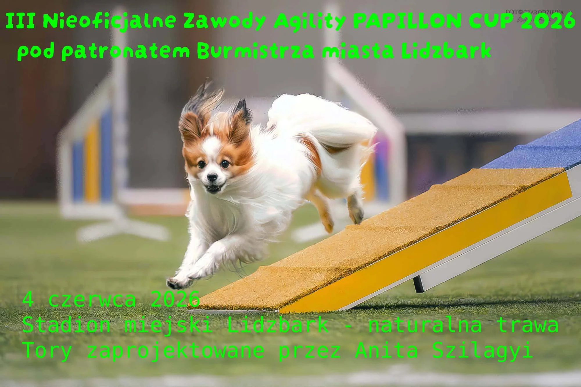 III Nieoficjalne Zawody Agility PAPILLON CUP pod patronatem burmistrza miasta Lidzbark 