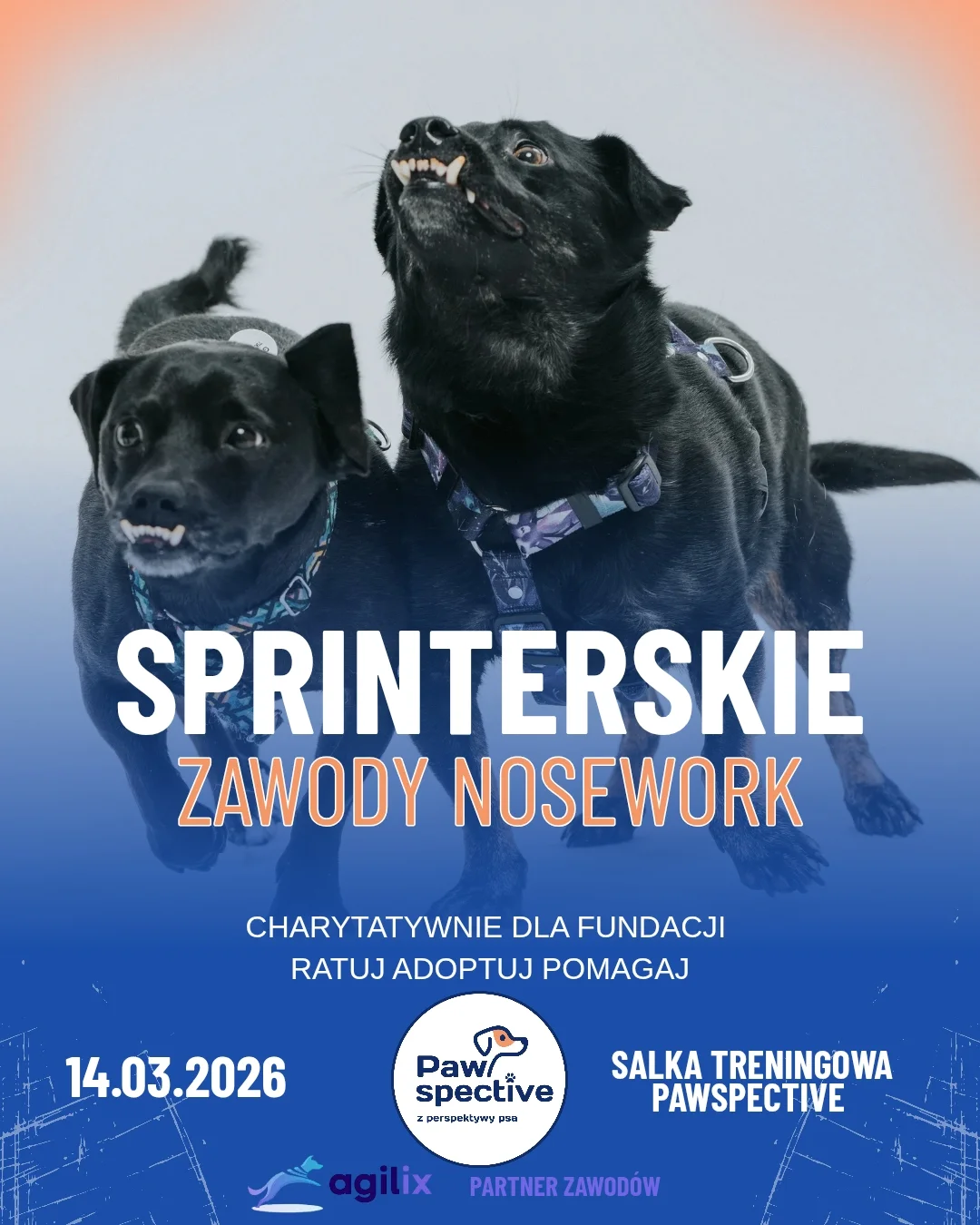 Charytatywne Sprinterskie Zawody Nosework 💙