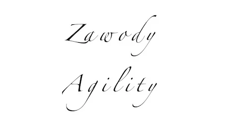 Zawody agility