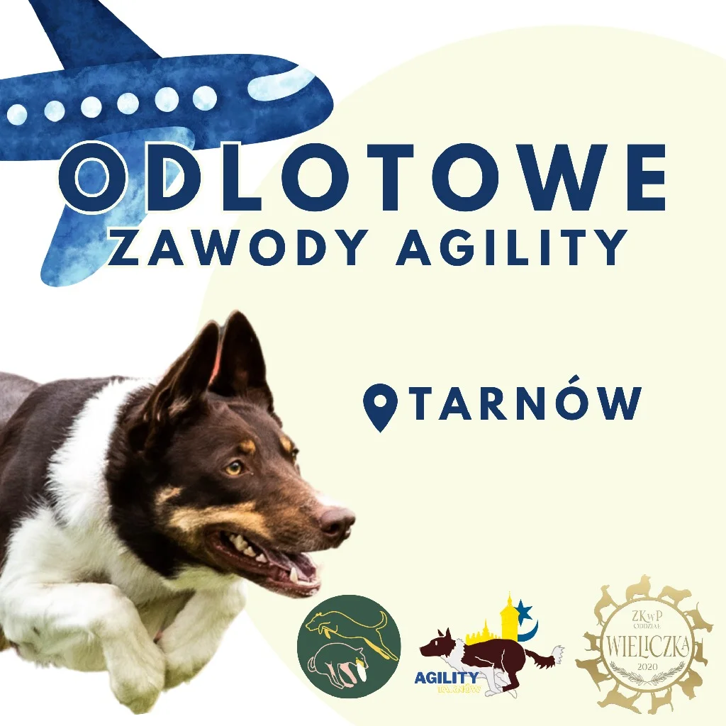 Odlotowe Zawody Agility w Tarnowie!