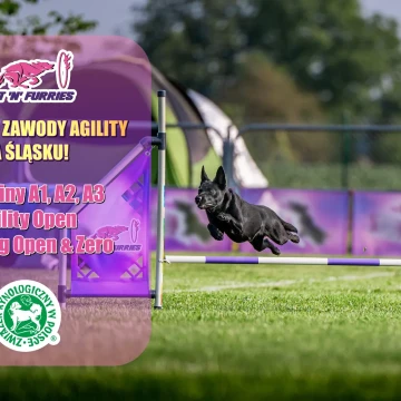 Fast'N'Furries VOL 1 | Oficjalne zawody Agility