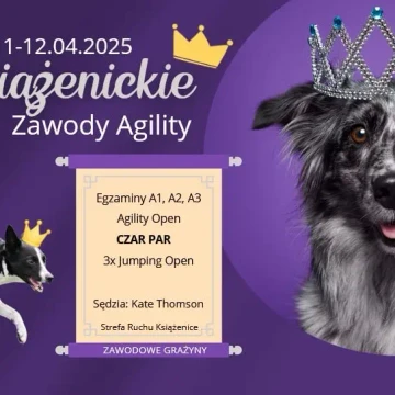II Książenickie Zawody Agility