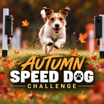 Autumn speed dog challenge 