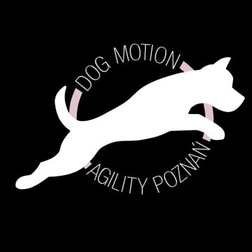 Dog Motion Agility - podstawy