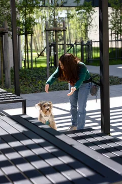 Zdjęcie z klubu Pawspective | Nosework i Dogfitness Poznań 