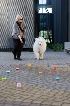 Zdjęcie z klubu Pawspective | Nosework i Dogfitness Poznań 