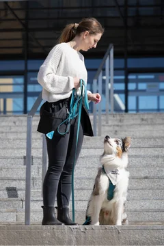 Zdjęcie z klubu Pawspective | Nosework i Dogfitness Poznań 