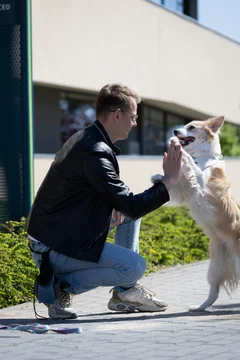 Zdjęcie z klubu Pawspective | Nosework i Dogfitness Poznań 