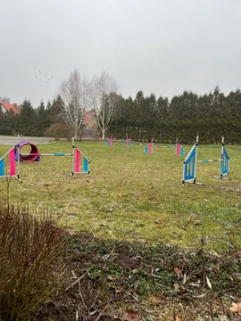 Zdjęcie z klubu Kokosteam