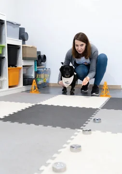 Zdjęcie z klubu Pawspective | Nosework i Dogfitness Poznań 