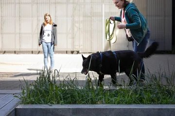 Zdjęcie z klubu Pawspective | Nosework i Dogfitness Poznań 