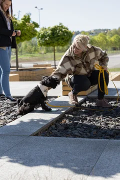 Zdjęcie z klubu Pawspective | Nosework i Dogfitness Poznań 