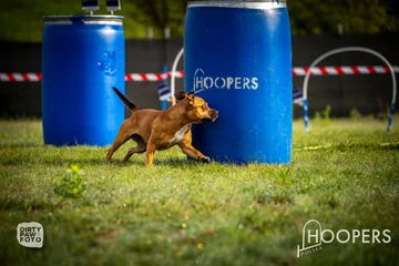 Zdjęcie z klubu Hoopers Polska