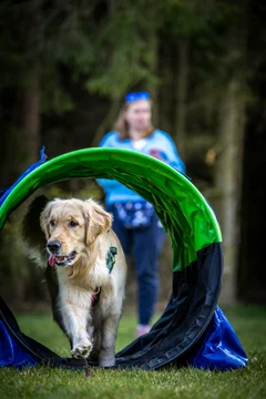 Zdjęcie z klubu Hoopers Polska