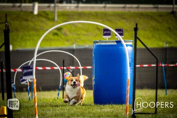Zdjęcie z klubu Hoopers Polska