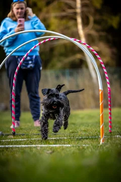 Zdjęcie z klubu Hoopers Polska