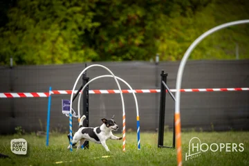 Zdjęcie z klubu Hoopers Polska