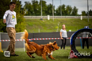 Zdjęcie z klubu Hoopers Polska