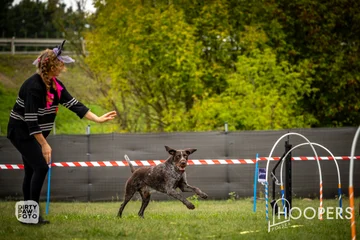 Zdjęcie z klubu Hoopers Polska