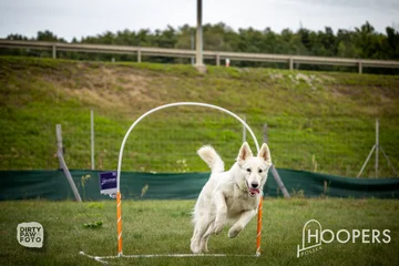 Zdjęcie z klubu Hoopers Polska