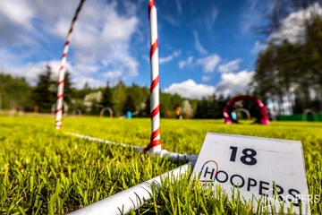 Zdjęcie z klubu Hoopers Polska