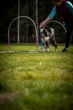 Zdjęcie z klubu Hoopers Polska