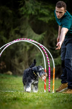 Zdjęcie z klubu Hoopers Polska