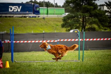 Zdjęcie z klubu Hoopers Polska