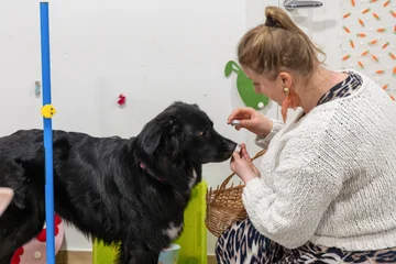 Zdjęcie z klubu Pawspective | Nosework i Dogfitness Poznań 