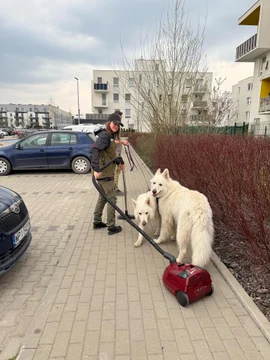 Praca z lękami