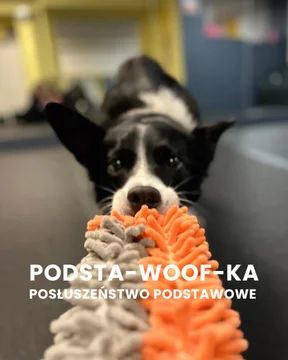 Zdjęcie z klubu Psia Warta