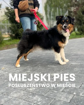 Zdjęcie z klubu Psia Warta