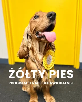 Zdjęcie z klubu Psia Warta