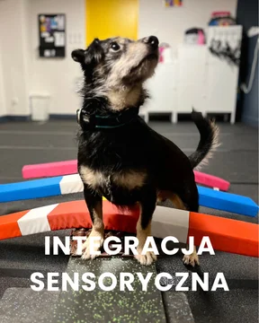 Zdjęcie z klubu Psia Warta