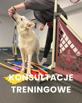 Zdjęcie z klubu Psia Warta